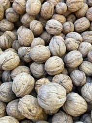 California Chandler Walnuts - In Shell - Not Bleached