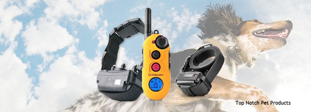 E-Collar Technologies