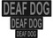 DEAF DOG