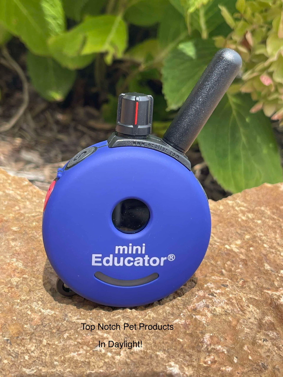 mini sex doll factories E-Collar Technologies ET-300 Mini Educator 1/2 Mile Range Remote Dog  Trainer with FREE Finger Training Clicker! in 11 COLORS