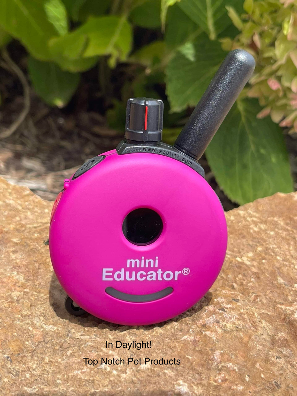 E-Collar Technologies ET-300 Mini Educator 1/2 Mile Range Remote Dog  Trainer with FREE Finger Training Clicker! in 11 COLORS - Top Notch Pet  Products