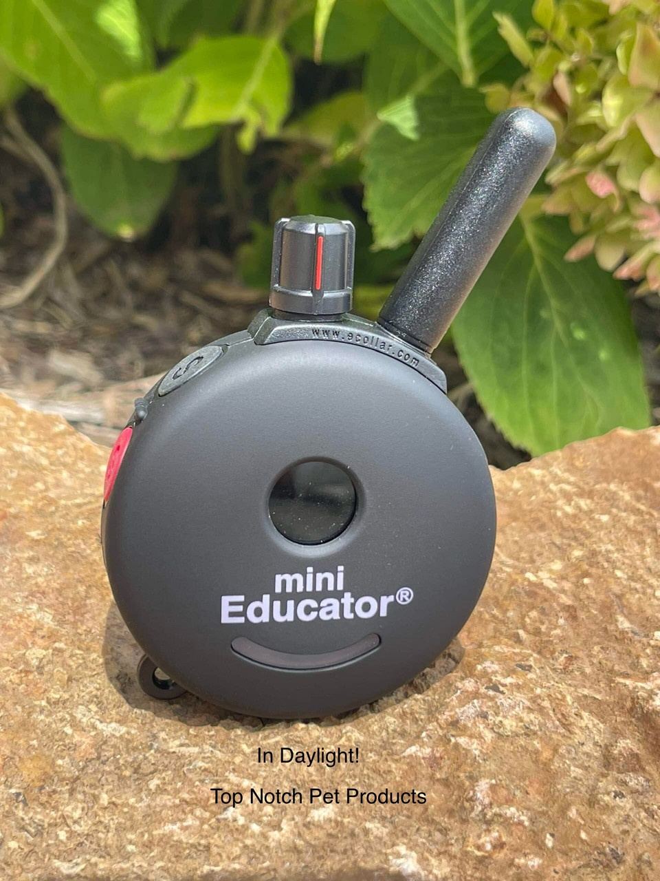 mini educator vibrate to tone Buy Sex Toys For Men & Women Online at Best Prices in India on Snapdeal