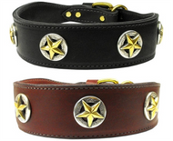 Mirage Pet Products Lone Star Dog Collar