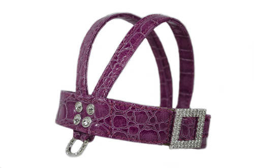 Wild Raspberry Harness