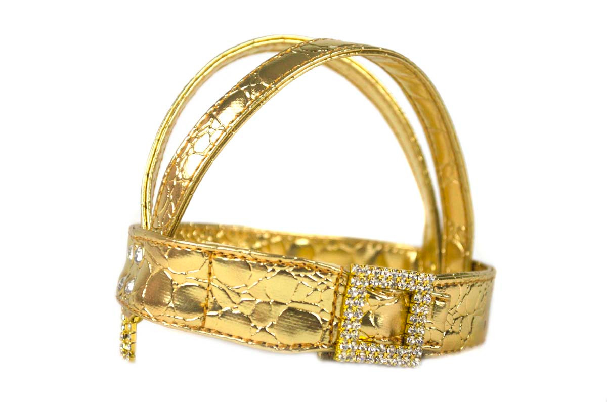 V HARNESS Metallic Gold & Matching Lead Top Notch Pet Products