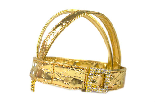 Metallic Gold Harness