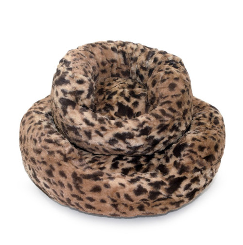King Leopard