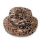 King Leopard