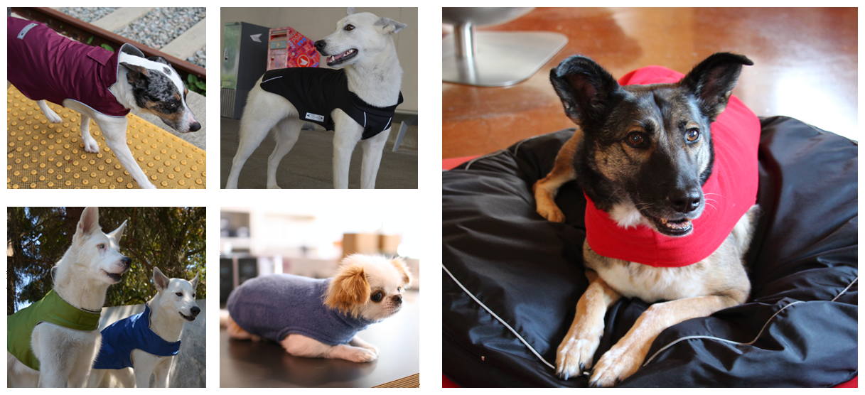 Dogs love Teckelklub top quality dog coats around the world