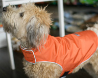 High Quality Foxy Orange Winter Dog Jacket