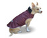 Stylish Bordeaux Waterproof Dog Coat 