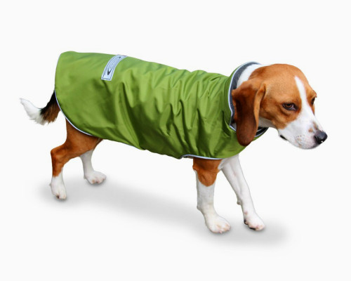 waterproof puppy coat