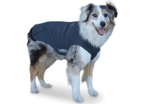 teckelklub dog fleece