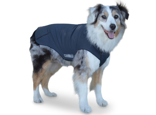 Active Dog Coat Winter Warmth