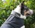Quality Dog Coat with Dual zipper harness opening