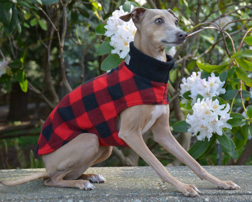 Rover Plaid Fuzzie Fleece Teckelklub