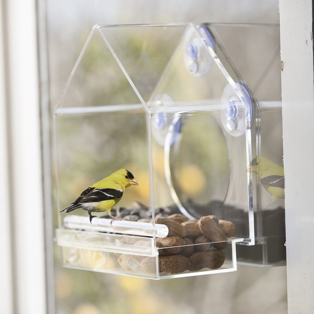 OnDisplay Window Mounted Clear Acrylic Bird House Vandue