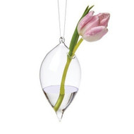 Modern Home Hanging Glass Terrarium/Fish Tank/Vase