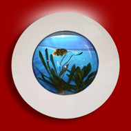 Aussie Aquariums Wall Mounted Aquarium - Porthole White