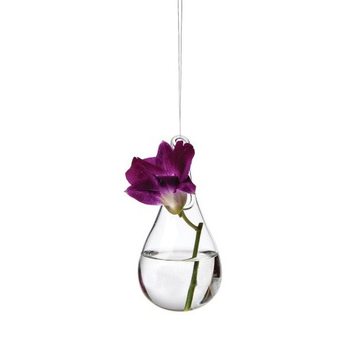 Modern Home Hanging Glass Terrarium Fish Tank Vase Teardrop Vandue