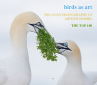 The Avian Photography of Arthur Morris - Download sent by Email