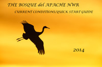 Bosque Quick Start Guide Current Conditions 2014
