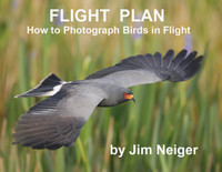 Flight Plan Guide