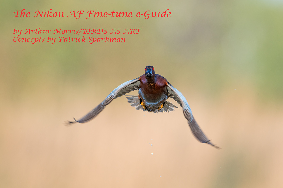 Vergissing Reageren gesponsord The Nikon AF Fine-tune e-Guide - BIRDS AS ART Online Store