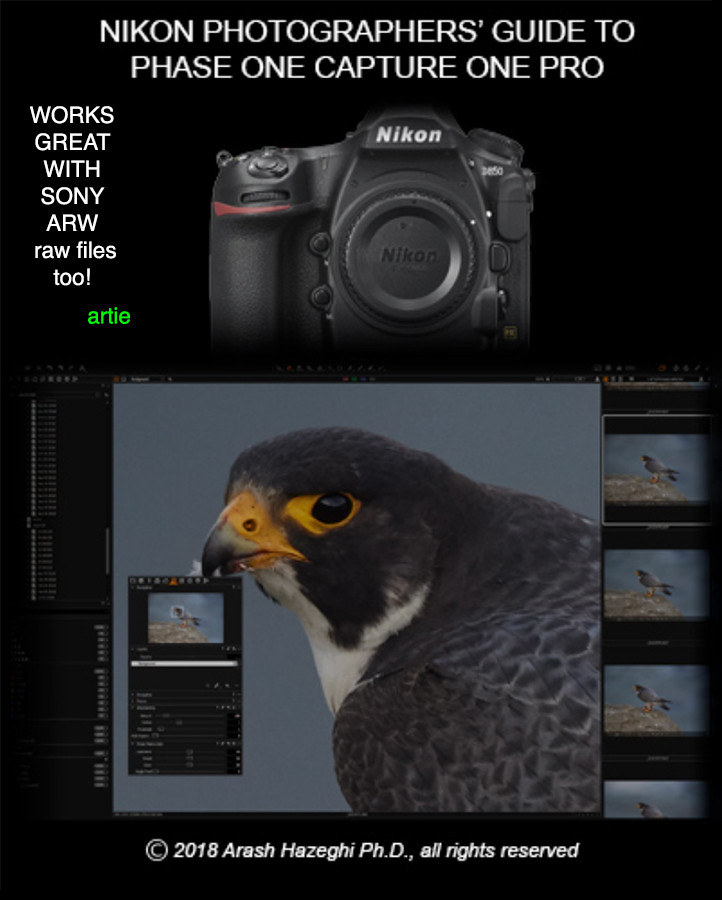 phaseone capture one pro phaseone capture one pro