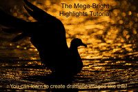 Mega-Bright Highlights Tutorial