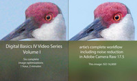 Digital Basics IV Video series