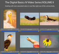 Digital Basics IV Volume II