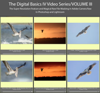 Digital Basics IV Volume III