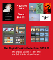 The BIRDS AS ART Digital Basics Collection