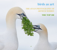 The Avian Photography of Arthur Morris - CD