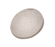 Large Coral Frag Disk (25 pack) for coral fragging and propagation