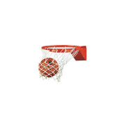 Bison Reaction Adjustable Breakaway Basketball Rim with Net and Official Goal