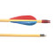 Select Poplar Shaft Wooden Archery Arrows - Pack of 72