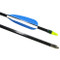Cajun Archery Fiberglass Recreational Target Shooting Archery Arrows - Dozen