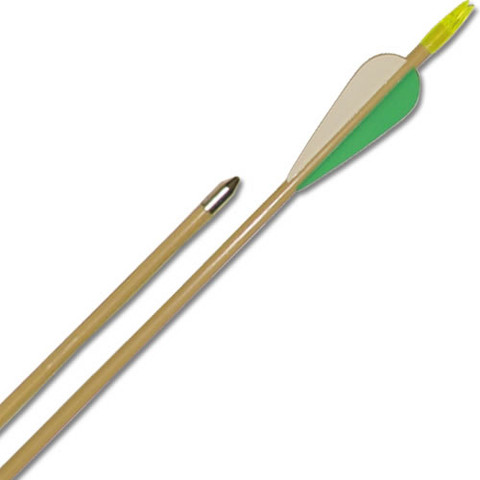 Cajun Archery Fiberglass Recreational Target Shooting Archery Arrows - Pack of 72