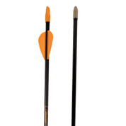 Safetyglass 26-Inch Recreational Archery Target Shooting Arrows