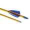 Standard Grade Poplar Shaft Wooden Archery Arrows - Dozen 26 Inch