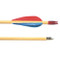 Select Grade Poplar Shaft Wooden Archery Arrows - Dozen - 30 Inch