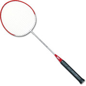 Economy Badminton Racquet Set of 10