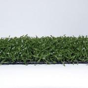 Action 35 Diamondturf 15'W x 70'L