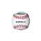 Wilson A1010 High School SST