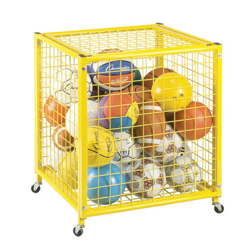 Locking Ball Storage Locker