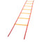Champion Sports Economy Agility Training Ladder