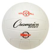 Performance Series Pro Rubber Volleyball, Blue, White, Yellow