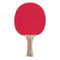 Pips In Rubber Faced Table Tennis Paddle